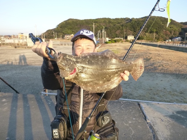 半島 釣り 情報 知多