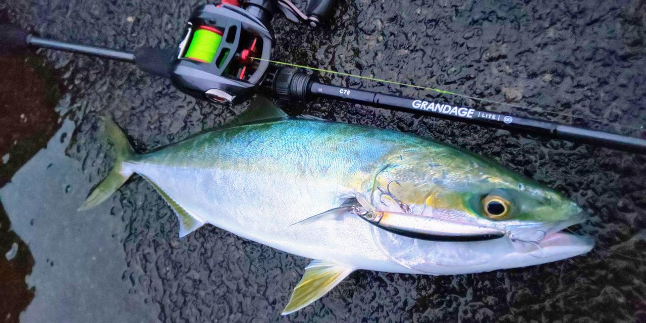 評価 APIA グランデージ ライト C76 sushitai.com.mx