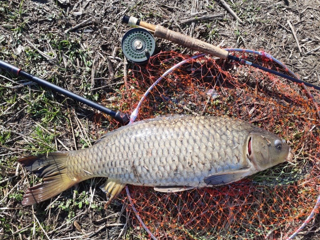 東大和店の釣り情報｜つり具の上州屋 - あなたのフィッシング＆アウトドアライフをサポート