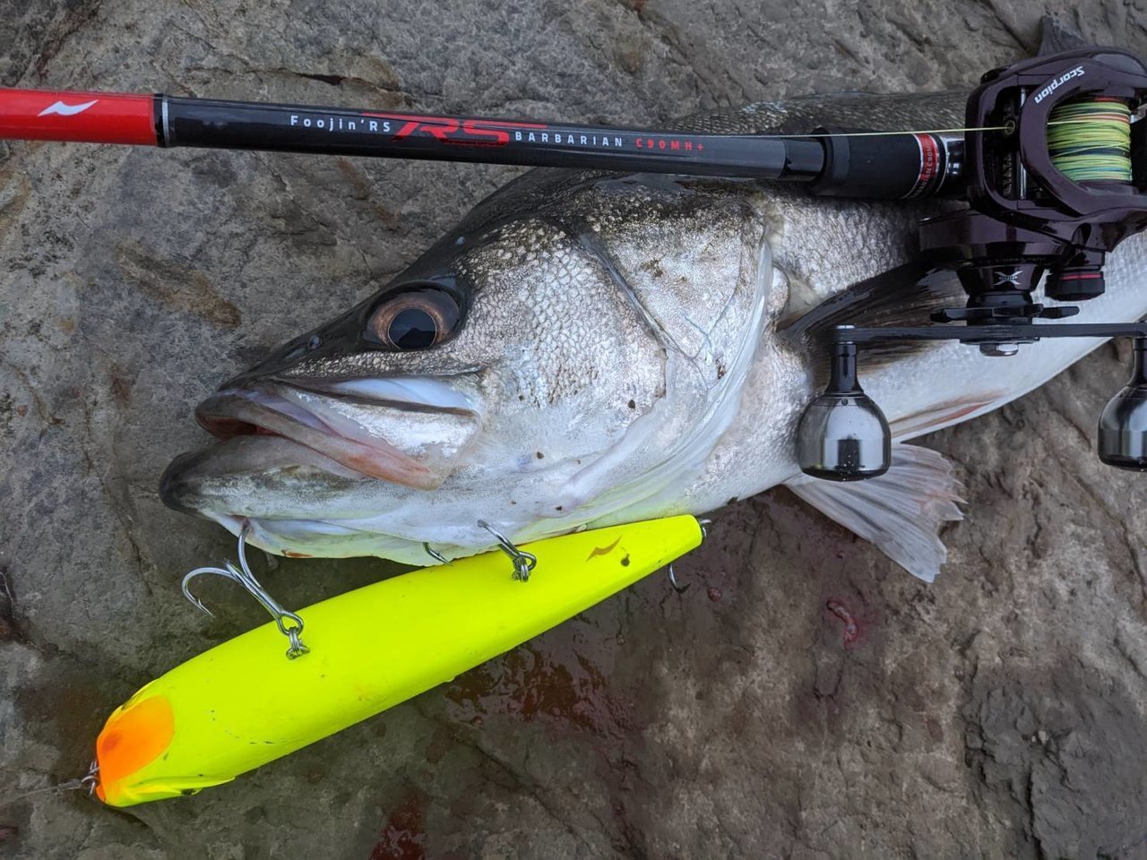 ロッド zenaq PLAISIR ANSWER PA75 PLAISIR ANSWER - ZENAQ | Official