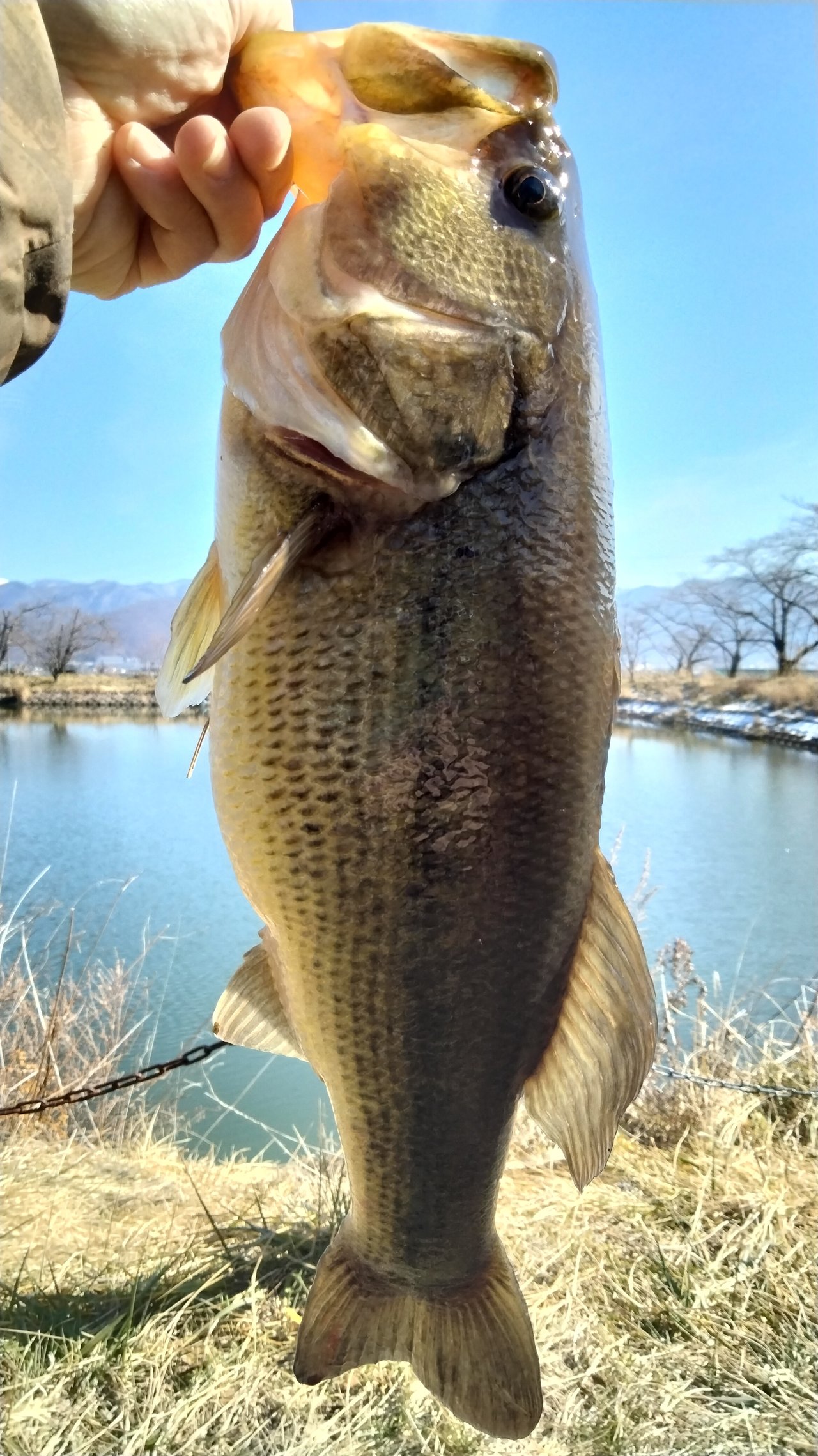 バス釣り 長野川中島店の釣り情報｜つり具の上州屋 - あなたの