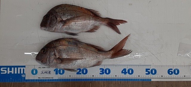 釣り　川　湖沼 つり具の上州屋 - あなたのフィッシング＆アウトドアライフを