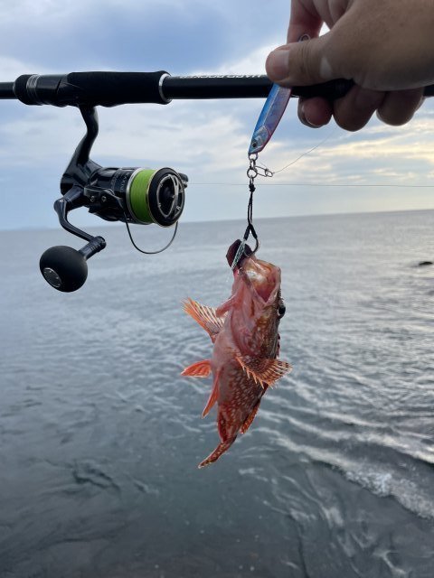 鮎釣り道具セット釣竿3本付き 国内外の人気集結! - electroavenida.com