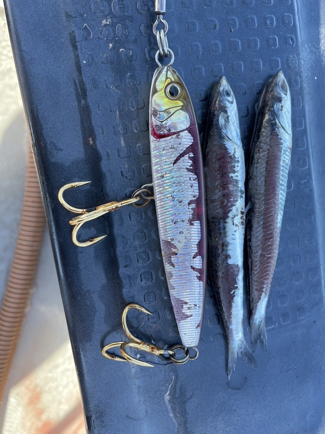 KAI LURES & SHIMANO タナジグトップウォーター ルアーセット KAI LURES & SHIMANO タナジグトップウォーター ルアーセット