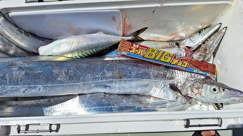 ジャッカル 23プライザタチウオ PRTー160H91 PRIZA TACHIUO