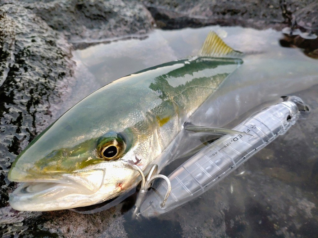 庄内竿 Клапан регулировки высоты сиденья Sitrak XZ1662512787