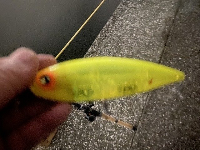 メガドッグ　220 メガバス メガドッグ220 【公式通販】