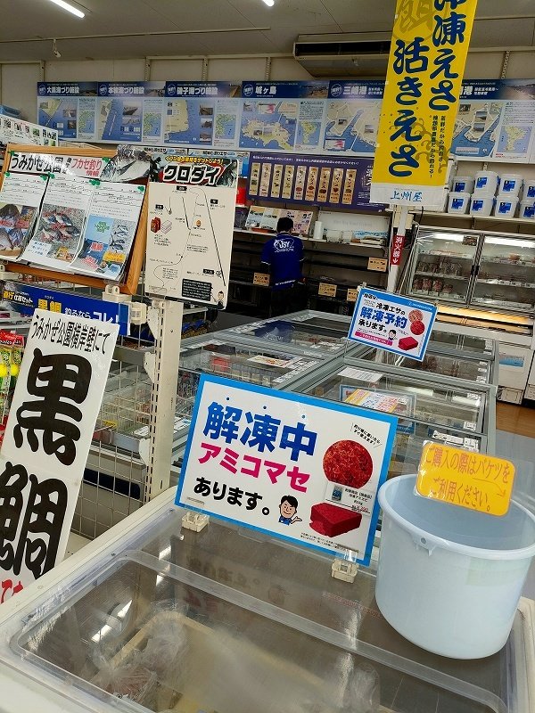 横須賀中央店の釣り情報|つり具の上州屋 - あなたの 横須賀中央店の釣り情報|つり具の上州屋 - あなたの