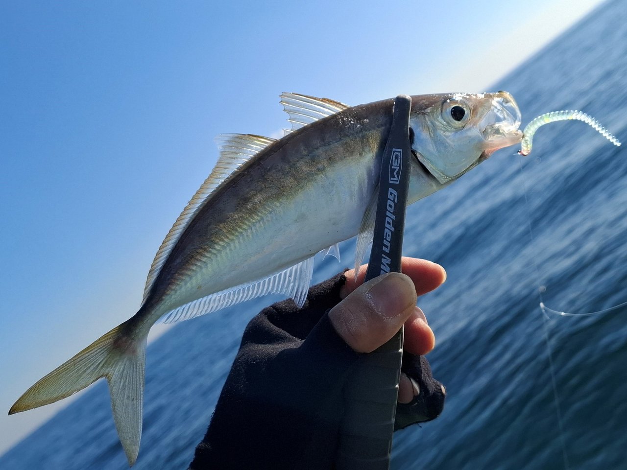 立川アコウデオンカ-テン 間仕切り タチカワブラインド アコーデオンカーテン H型(レール露出