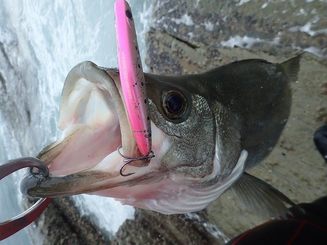 釣和 ページ L つり具の上州屋 - あなたのフィッシング＆アウトドアライフを