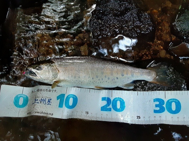 Daiwa他 ジグ8点＋上州屋メジャー