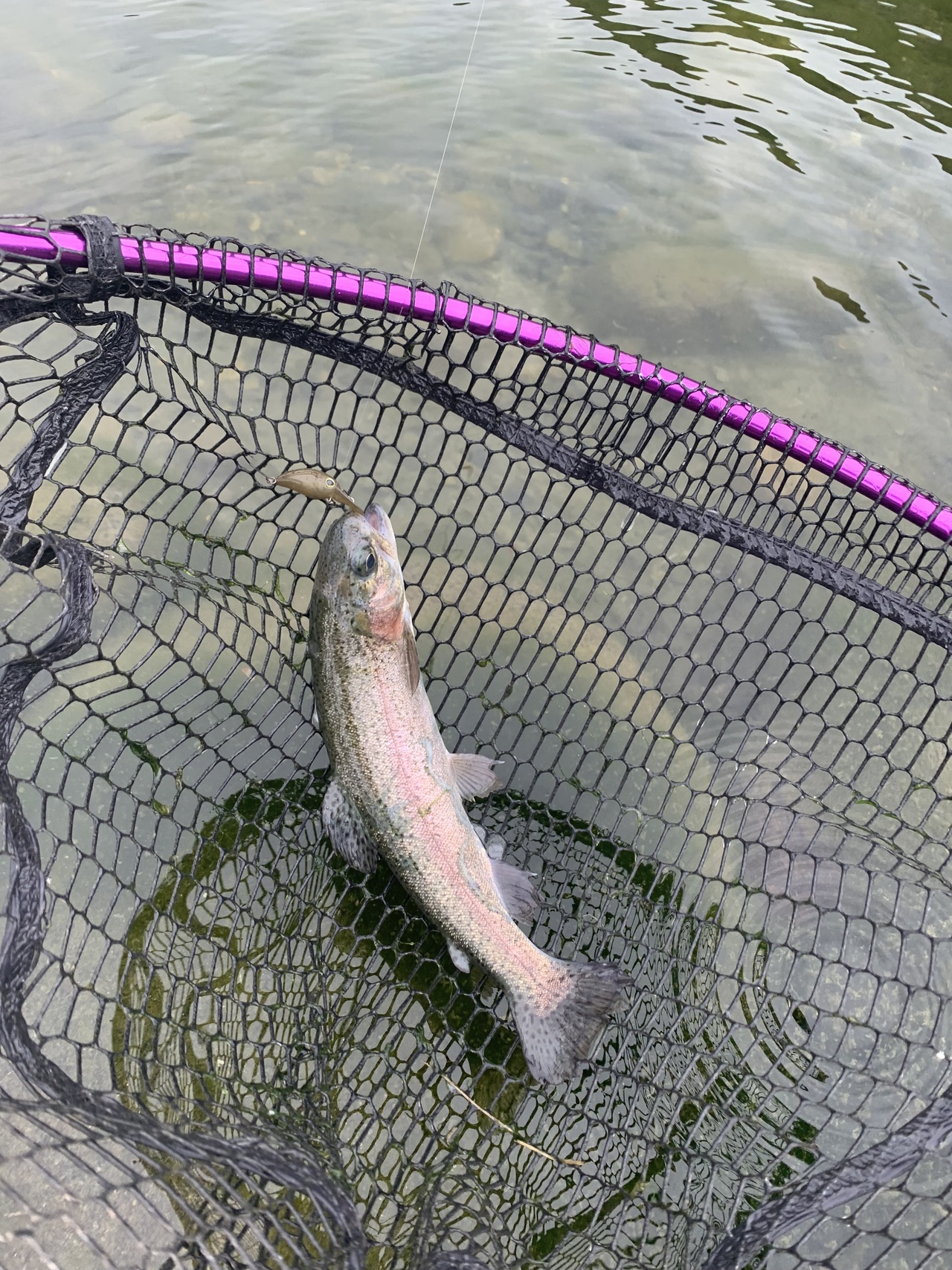 日本溪流釣連盟編 関東・上越・中部 渓流つり場 渓流つり場 関東・上越・中部 日本渓流釣連盟編 日本溪流釣連盟編