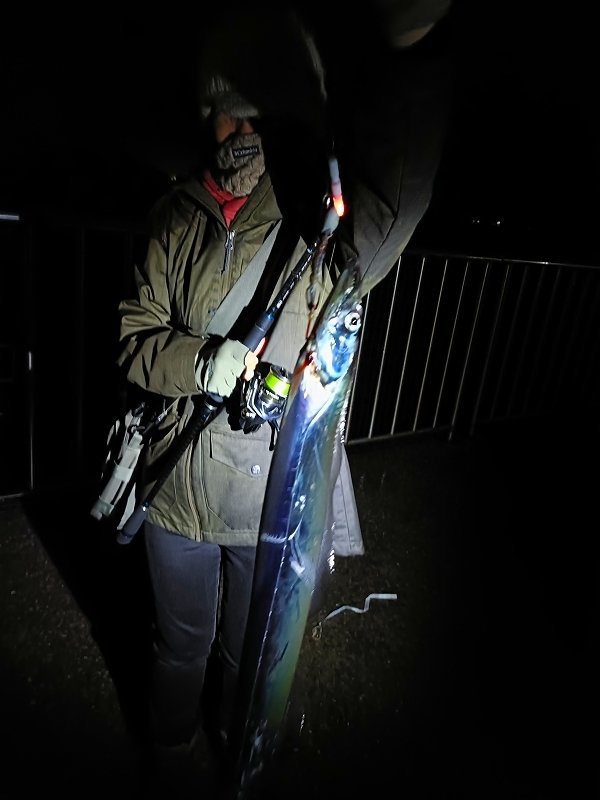 横須賀中央店の釣り情報｜つり具の上州屋 - あなたの