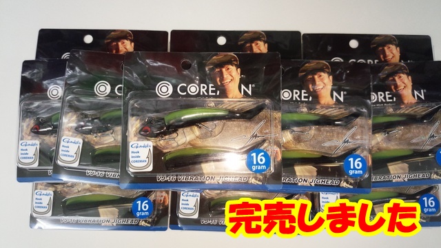 泉氏限定炭水ブラックVj-16