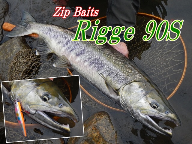 【おまけ】サケスプーン(14) 楽天市場】アキアジ スプーンの通販