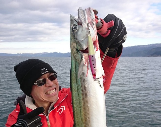 DOWLUCK ソノヒグラシ NRH DOWLUCK ソノヒグラシ NRH