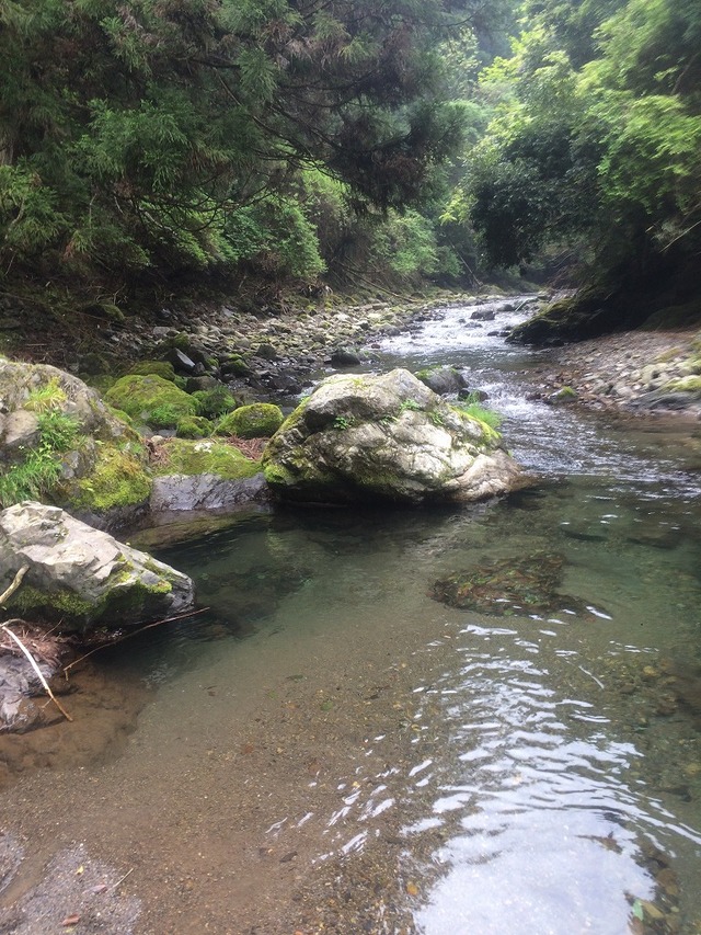 京都 渓流 釣り