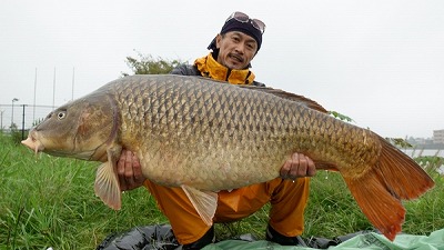 鯉釣り カープフィッシング レットコアライン