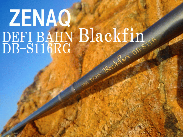 DEFI BAHN Blackfin DB-S126 Length: 12'6
