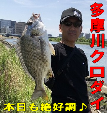 A.H.P.L ゴシッピーダーティ A.H.P.L ゴシッピーダーティ