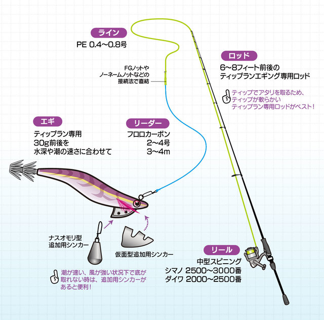北陸日本海 秋のアオリイカ特集２０１９ アオリイカエギングなら上州屋にお任せ 上州屋ニュース つり具の上州屋 あなたのフィッシング アウトドアライフをサポート