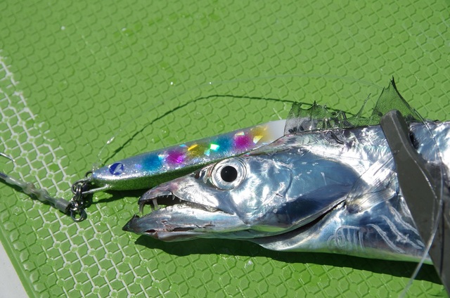 フォルテ　オリカラ つり具の上州屋 - あなたのフィッシング＆アウトドアライフを