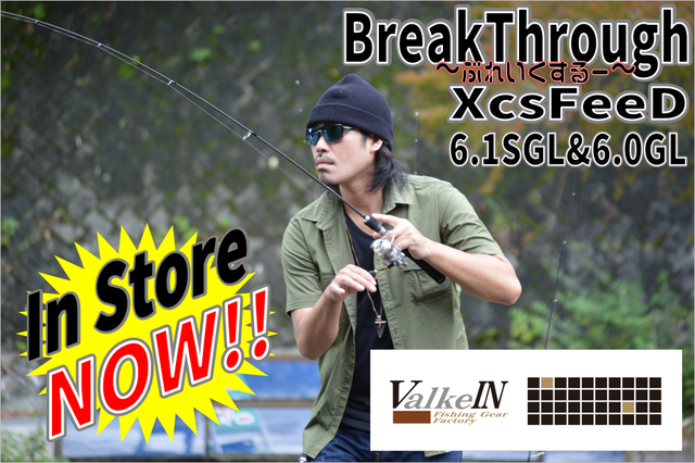 ヴァルケイン ブレイクスルー エクスフィード