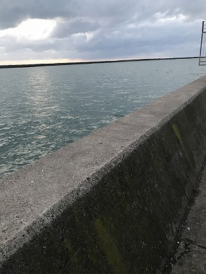 ttt様　公魚　ハンドメイドロッド　35cm胴調子（極軟）　2本セット 桜井釣り漁具(sakura） 激湾ライト 182 30-50: 竿｜釣具の通販