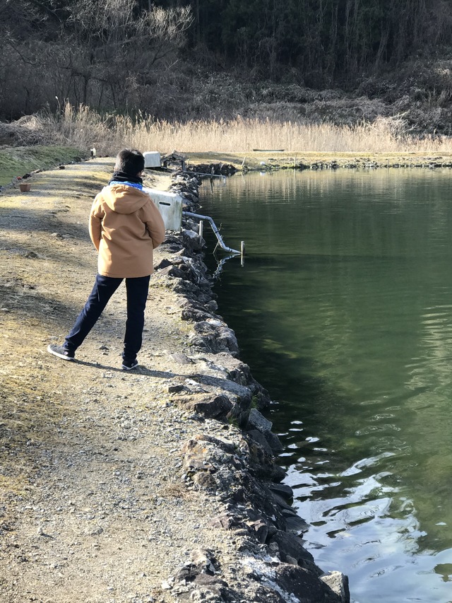釣れない…