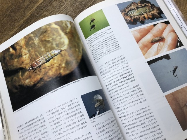 つり具の上州屋 - あなたのフィッシング＆アウトドアライフを