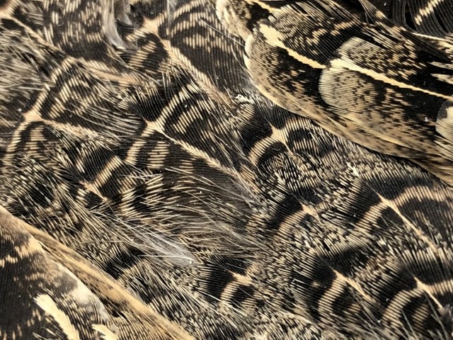 つり具の上州屋 - あなたのフィッシング＆アウトドアライフを