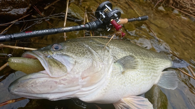 バス釣りルアー　　22点 つり具の上州屋 - あなたのフィッシング＆アウトドアライフをサポート