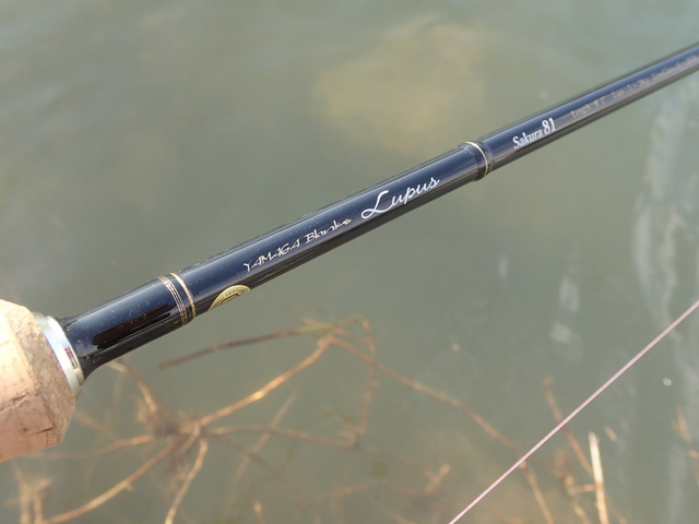 富山県、本流虹鱒釣行。Lupus（ルーパス）81 | YAMAGA Blanks