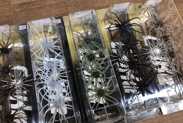 旧コイケ　新品セット 旧コイケ HIDEUP ハイドアップ