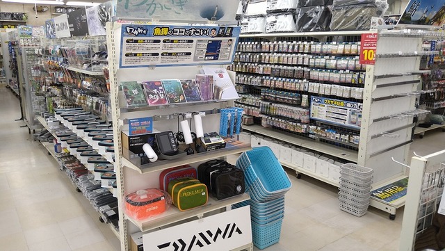 白河 上 州 屋 【台南 Tainan】白河欣賞盛開的石斛蘭花