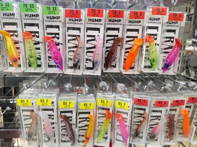 3\31日終了ライトフィッシュ、ホタルイカパターン、ラウズ、ズィークイット 3日終了ライトフィッシュ、ホタルイカパターン、ラウズ