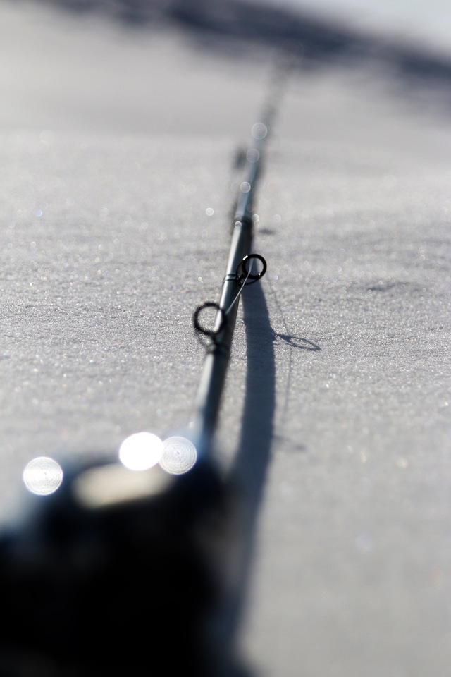 tpc347157-6.jpeg?t=1764033399