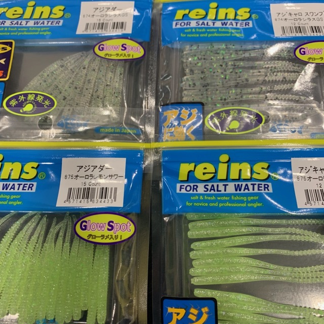 シャローエリア 噴火湾のシャローエリアでまさかのゲスト登場！ | No Rock No Life