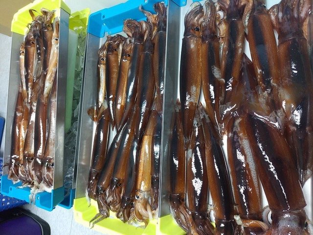 烏賊ジグ エボII 130g 3本 つり具の上州屋 - あなたのフィッシング＆アウトドアライフを