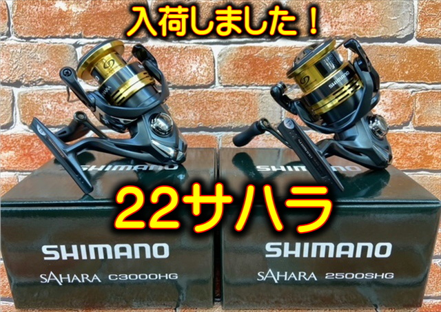 22 サハラ