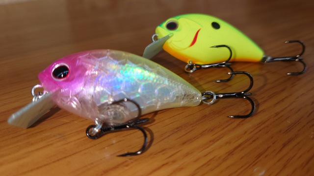 イヴォーク、ブリッツ Shallow crankbait BEST3】YoU太郎がオススメするシャロー