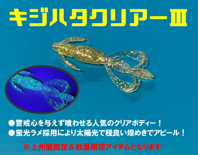 レジャーフィッシング 2019年10月号 レジャーフィッシング 2019年 10月号 ［雑誌］ | レジャー