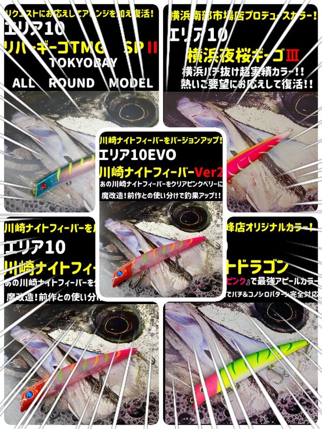 シャローエリア 2025 Kawasaki Ninja ZX-6R ABS Pearl Robotic White / Metallic