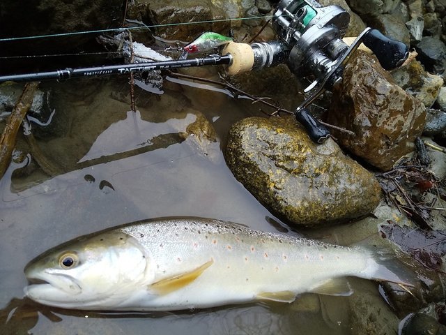 スミス　タクティスト42 スミス(SMITH) トラウティンキャスト タクティスト TT-42