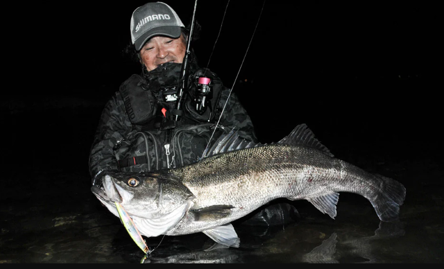 SHIMANO - シーバスセット 楽天市場】シーバス シマノ セット（スポーツ・アウトドア）の通販
