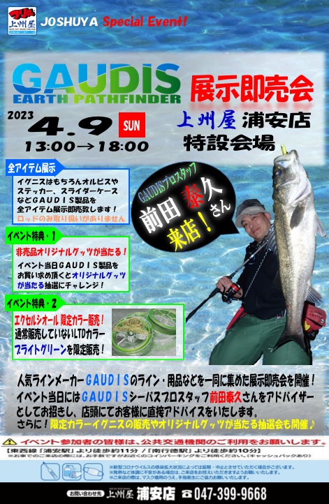 ガウディス エクセルシオール PE3号 EXCELSIOR | フィッシング