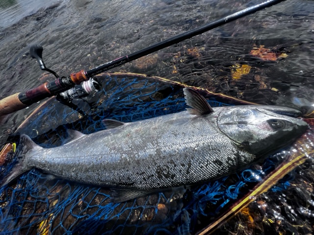 つり具の上州屋 - あなたのフィッシング＆アウトドアライフをサポート