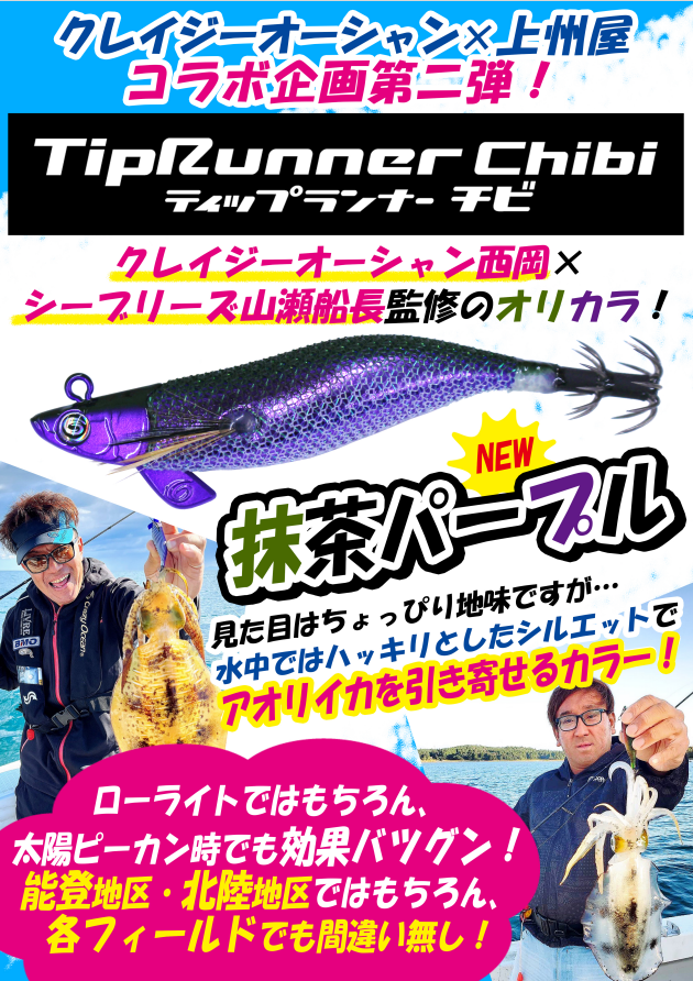 ティップランセット Timing Chain Gear Kit L28 280Z 280ZX | Z Car Depot Inc