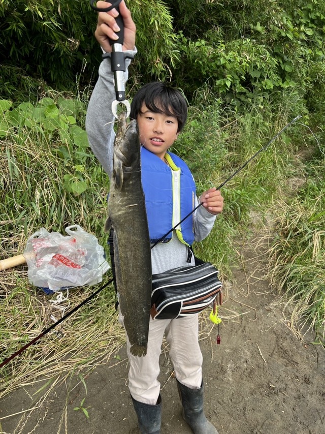 ナマズ釣り超入門 ゼロから始めるナマズ釣り　ナマズ釣り大全　セット ナマズ釣り大全: 日本が誇るトップウォ-タ-タ-ゲットと豊かに