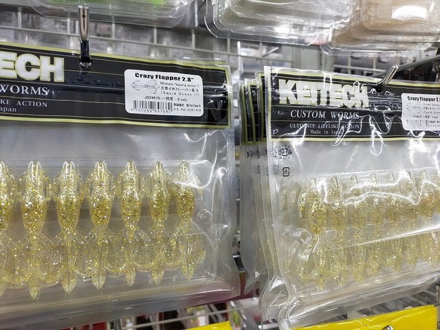 ロックショア アングラーさん予約品 つり具の上州屋 - あなたのフィッシング＆アウトドアライフを